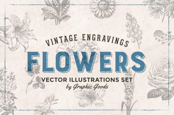 Flowers Vintage Illustrations 01