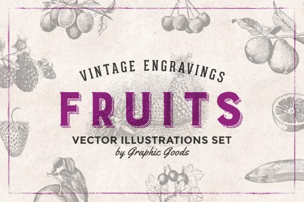Fruits – Vintage Engraving Illustrations 01