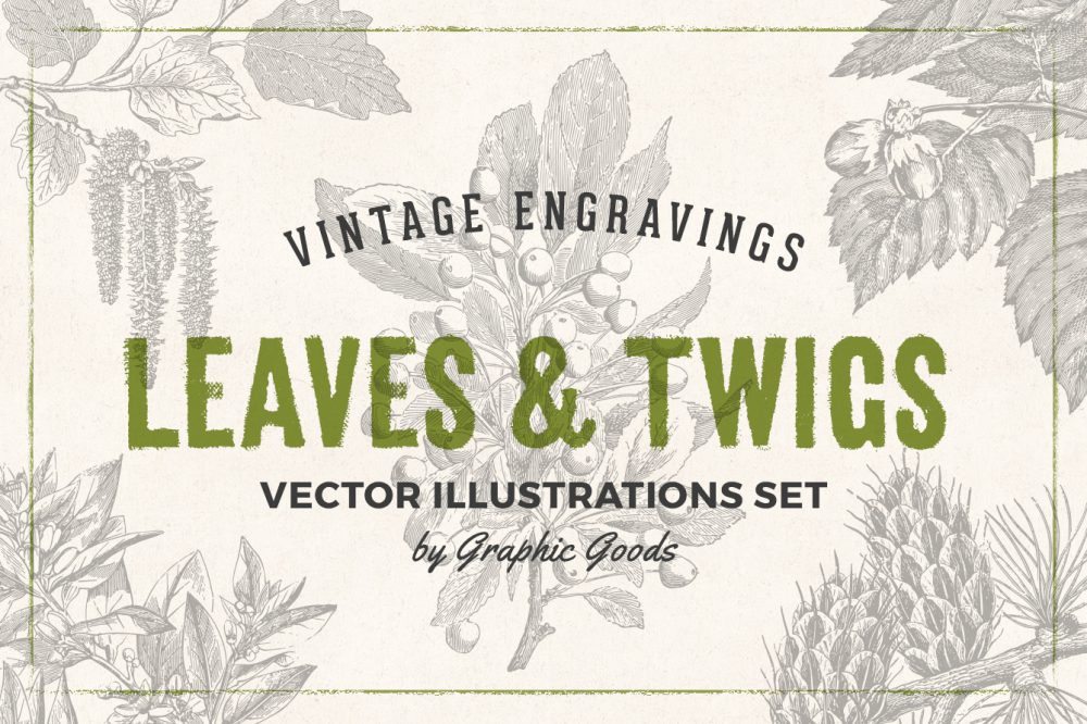 Leaves & Twigs – Vintage Engraving Illustrations 01