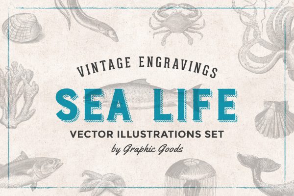 Sea Life – Vintage Engraving Illustrations 01