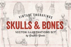 Skulls & Bones – Vector Engravings Set