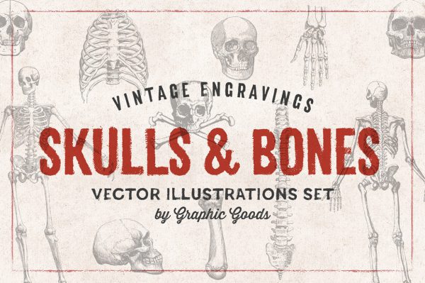 Skulls & Bones – Vintage Engraving Illustrations 01