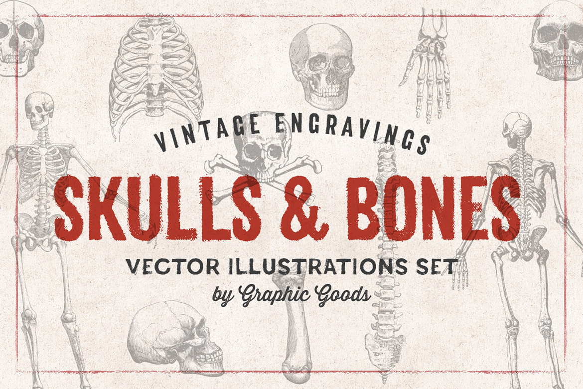 Skulls & Bones – Vintage Engraving Illustrations 01
