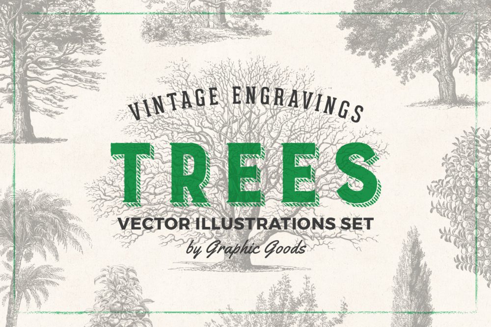 Trees – Vintage Engraving Illustrations 01