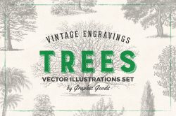 Trees – Vintage Engraving Illustrations 01