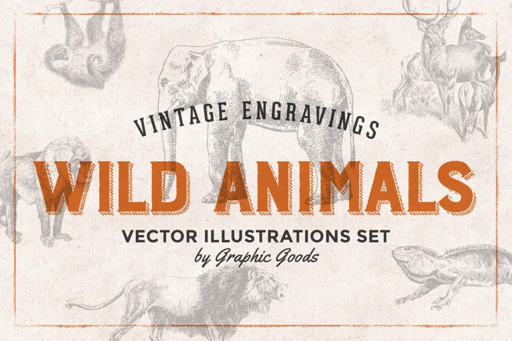 Wild Animals – Vintage Engraving Illustrations 01