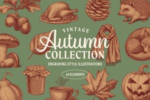 Vintage Autumn Illustrations preview 01