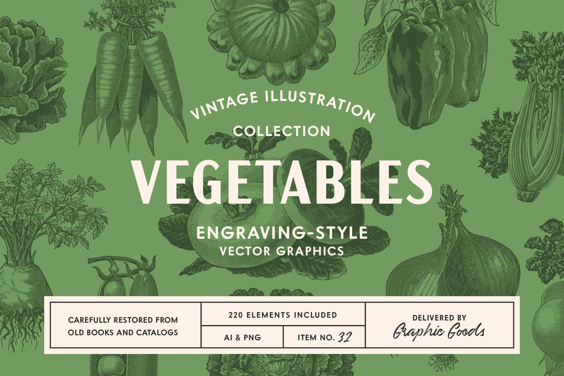 220 Vintage Vegetable Illustrations by Graphic Goods 01