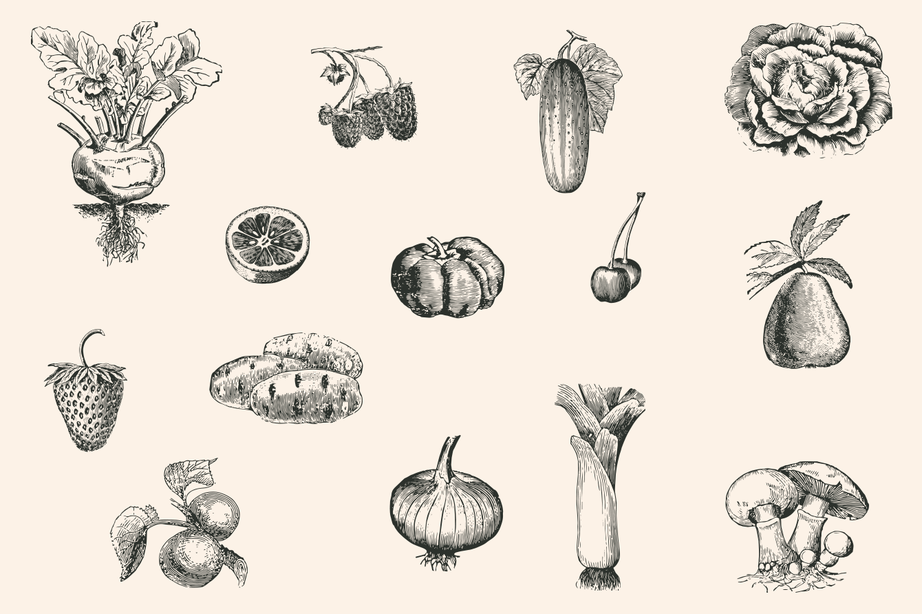 vintage illustrations free download