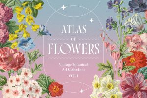Atlas of Flowers – Botanical Art Set by Graphic Goods – preview 01