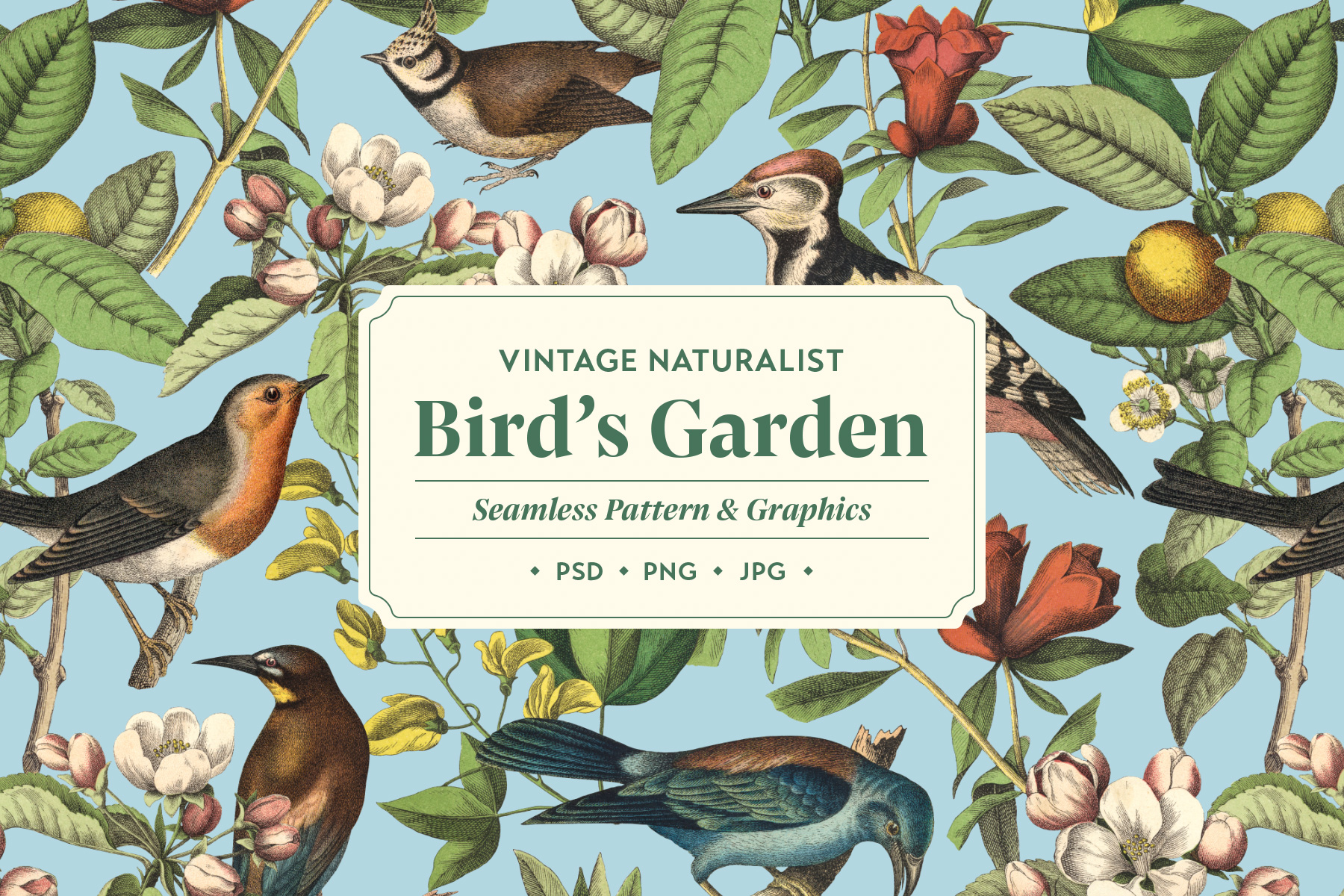 Bird’s Garden Vintage Pattern preview 01