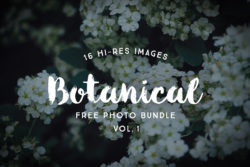 Free Botanical Photo Bundle by Graphic Goods 01