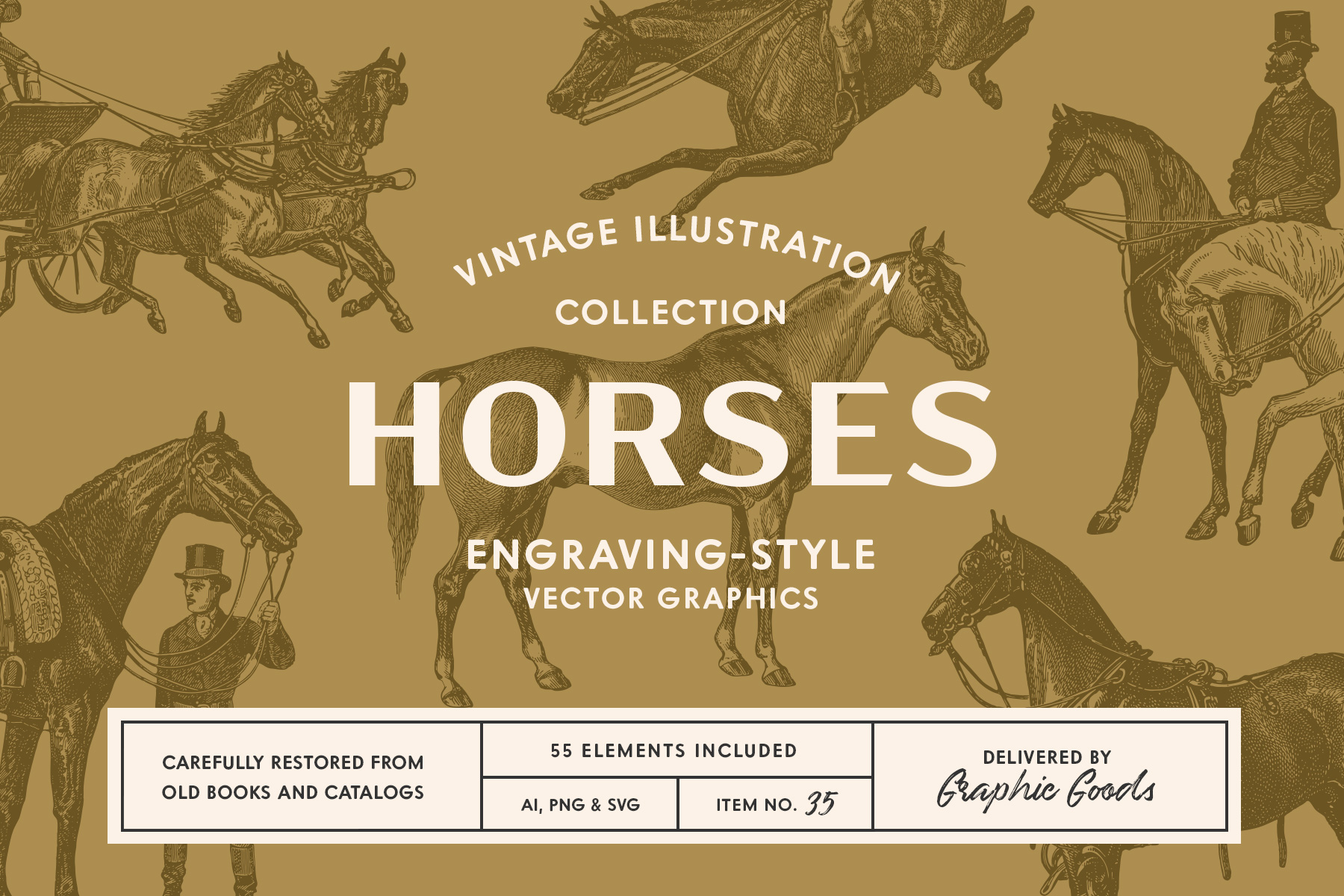 Horses – Vintage Illustration Set by Graphic Goods 01