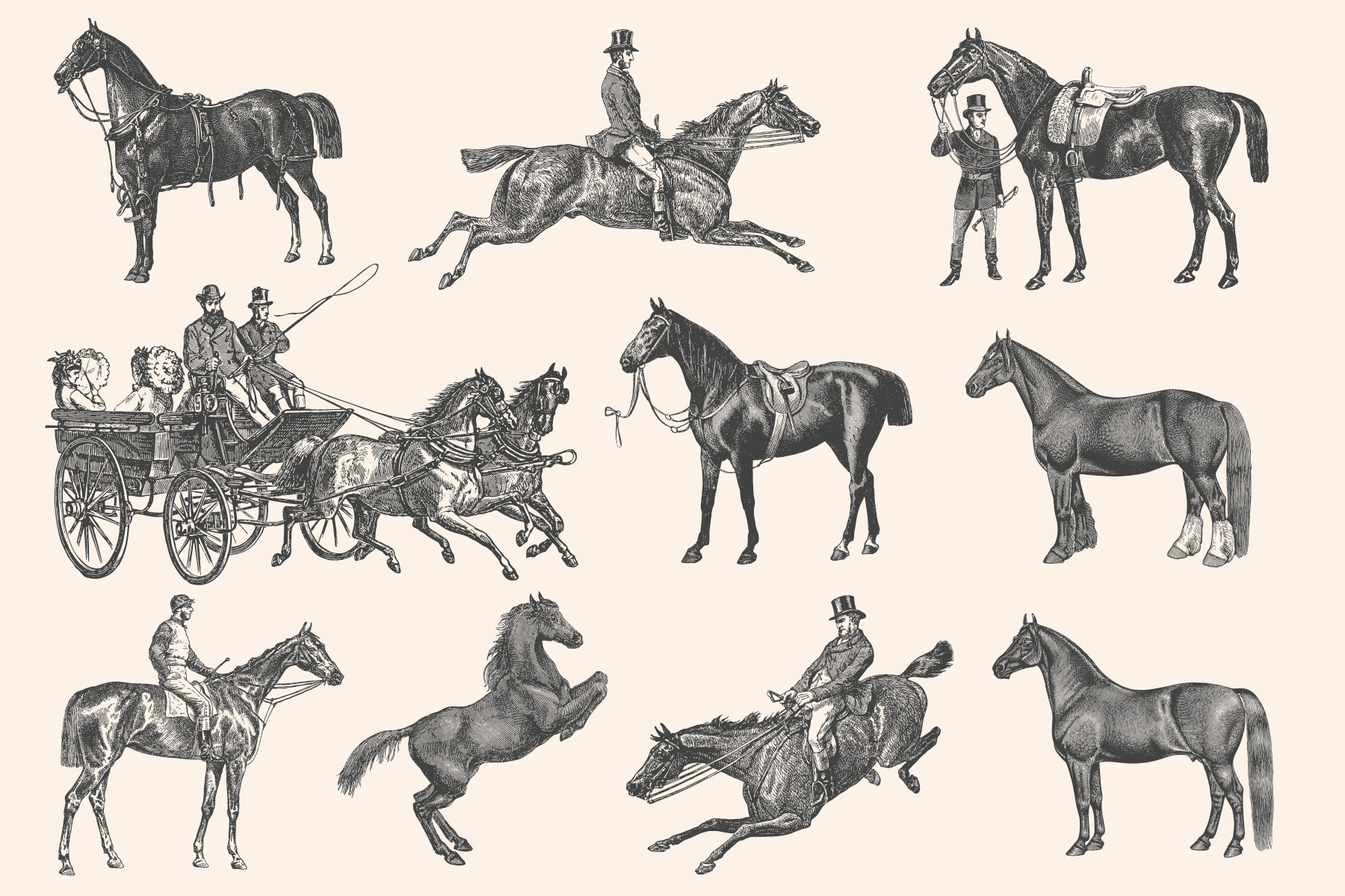 Horses Vintage