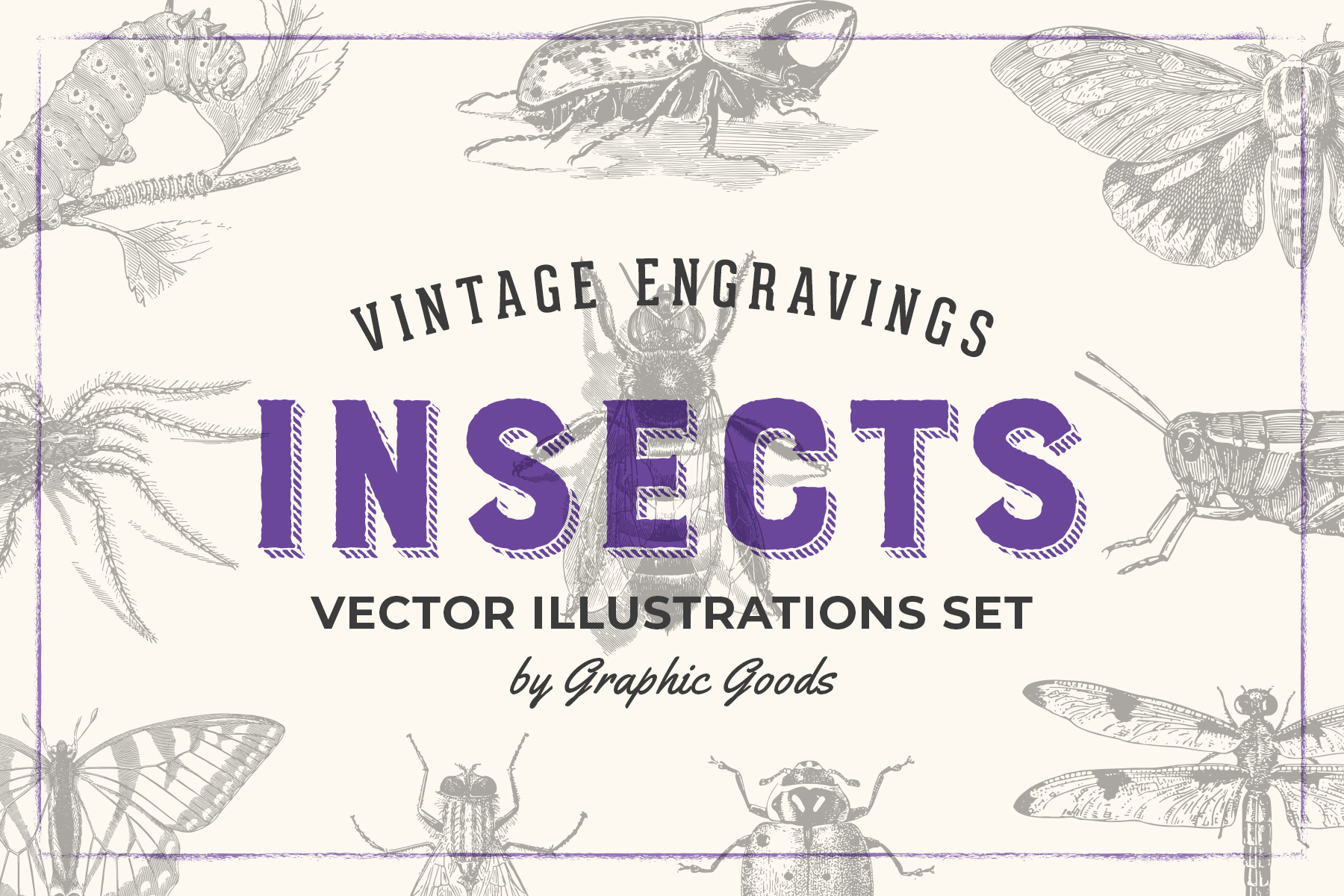 Insects – Vintage Engraving Illustrations preview 01
