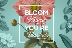Vintage Color Illustrations of Flowers by Graphic Goods 09
